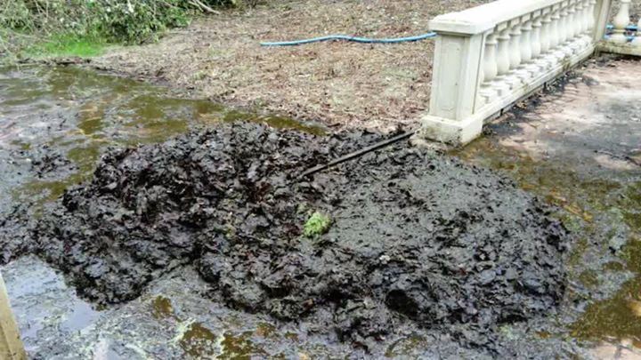 Un petit nettoyage piscine s’impose 
Piscines de France c’est aussi la rénovatio…